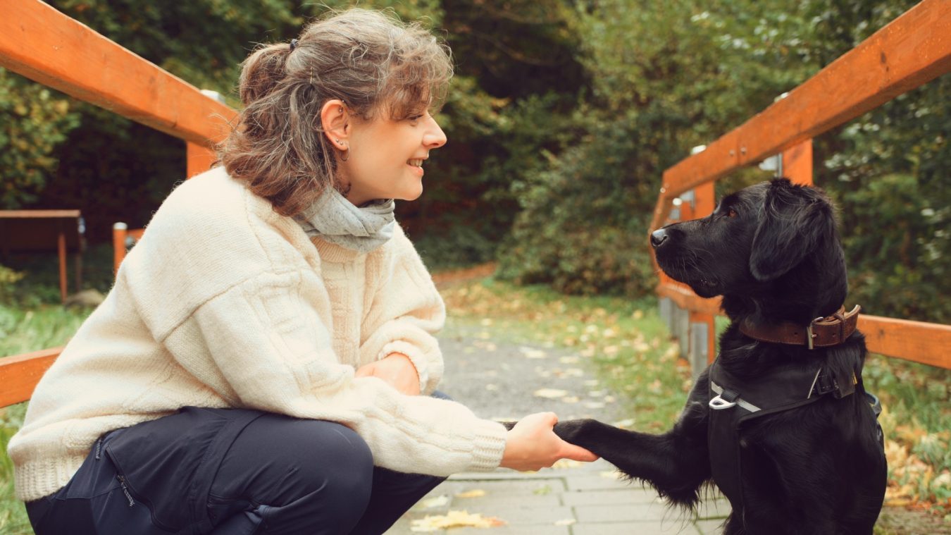 Hundetrainerin hält die Pfote ihres Hundes