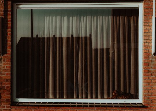Wohnzimmer Fenster mit Katze und Vorhang